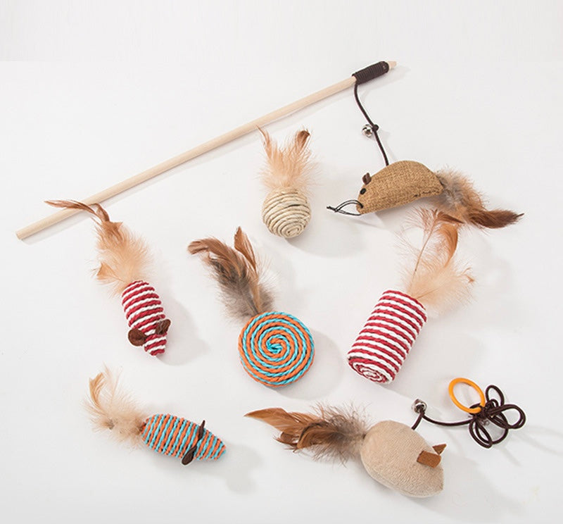 Cat Teaser Toys