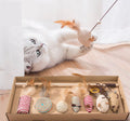 Cat Teaser Toys