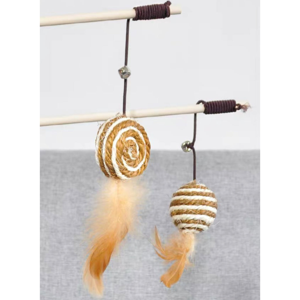 Cat Teaser Toys