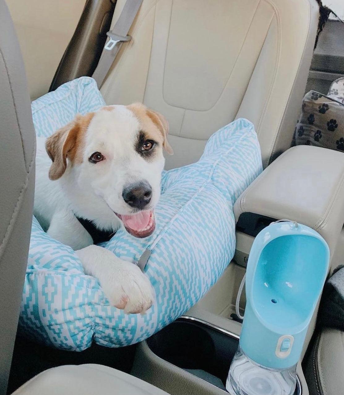 2-in-1 Portable Pet Feeder