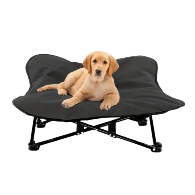 Portable Elevated Dog Bed