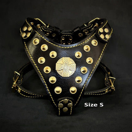 Collars, Leads & Harnesses